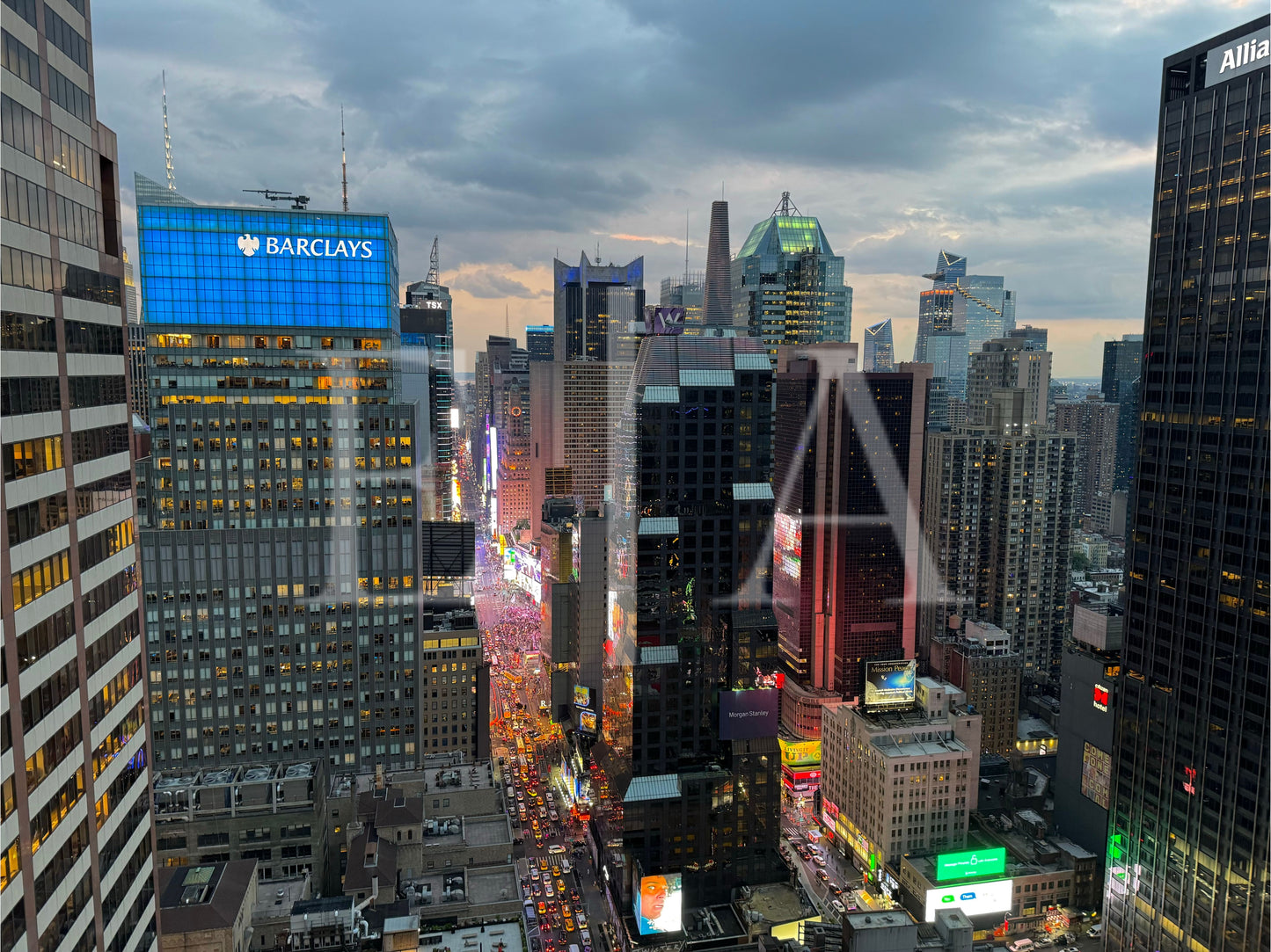 Concrete Jungle