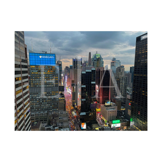 Concrete Jungle